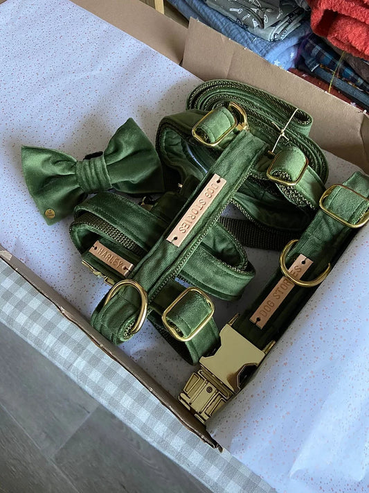 Laisse forest green velvy