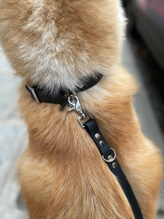Collier en biothane noir