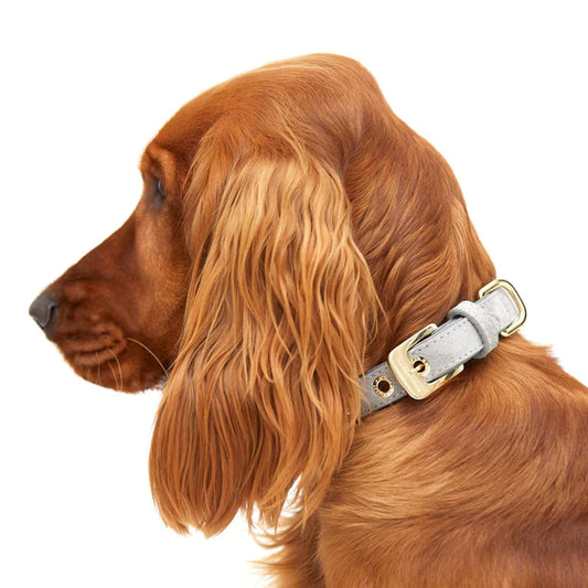 Collier pour chien Sea Salt